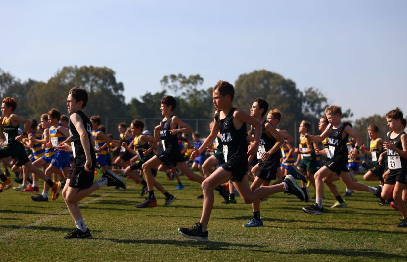 AIC Year in Review: Cross Country