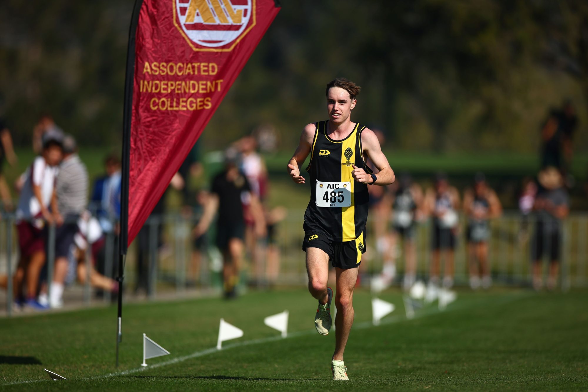 AIC Year in Review Cross Country AIC Sport