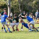 Term 2 Sport Begins!